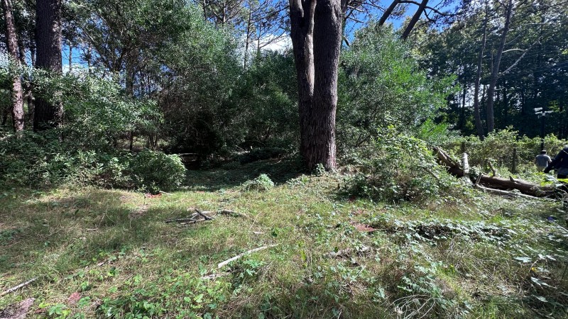 Lote en venta en La Reserva de Montoya